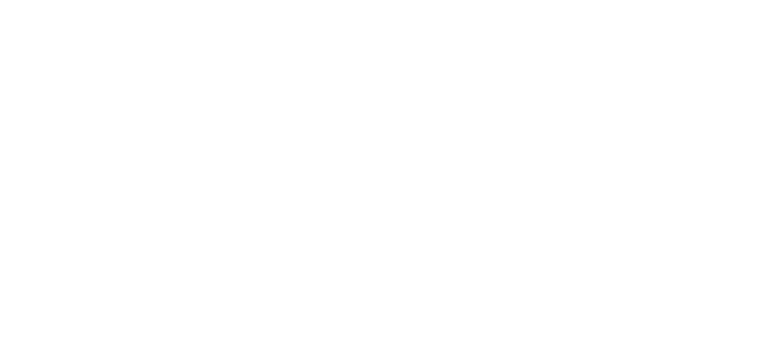 BSIS Impact logo