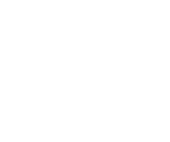 HR Excellence in Research logo