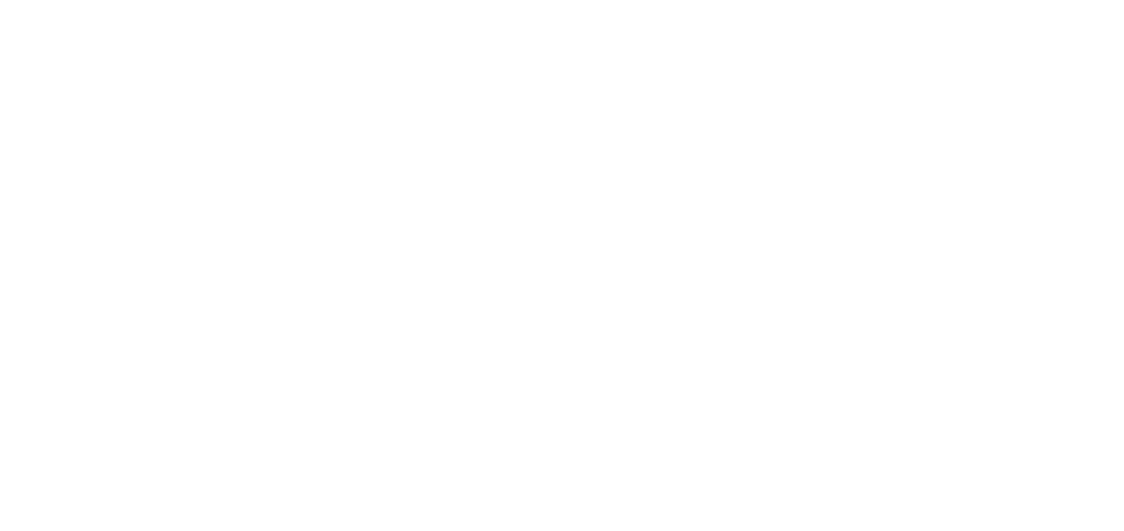 EFMD EQUIS Accredited logo