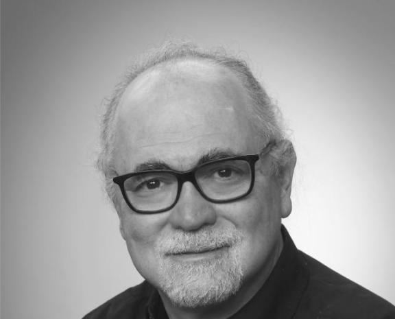 Marcelo Godoy Simões, Professor